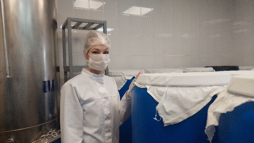 общество, напитки, предпринимательство, Комбучай, Воскресенск, чайный гриб