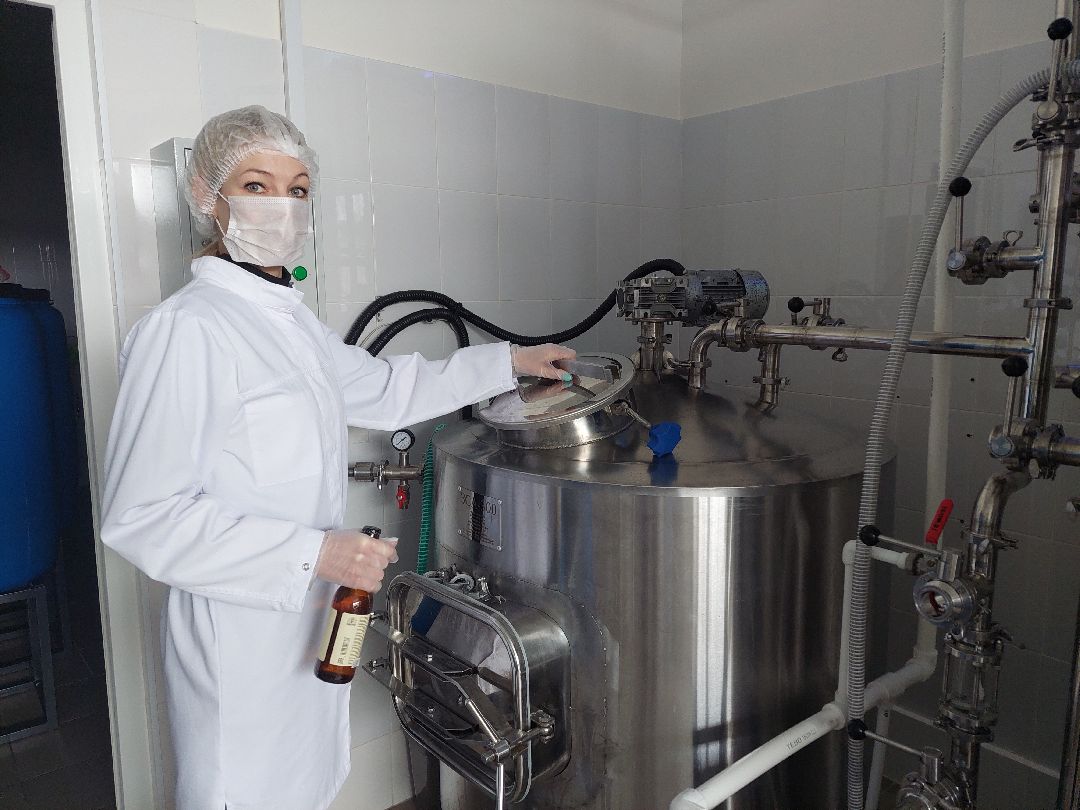 общество, напитки, предпринимательство, Комбучай, Воскресенск, чайный гриб