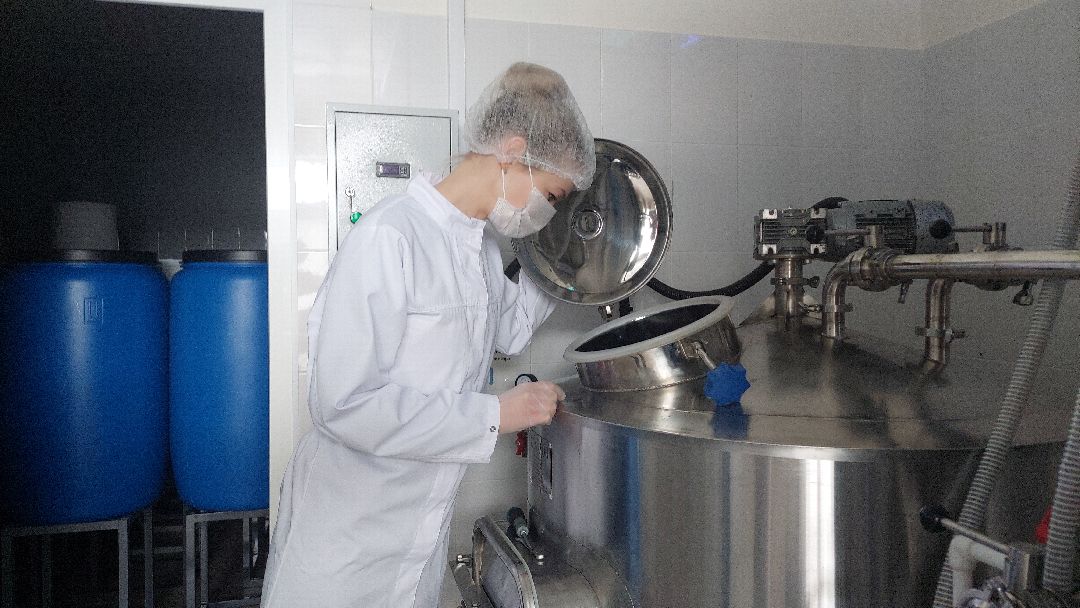 общество, напитки, предпринимательство, Комбучай, Воскресенск, чайный гриб