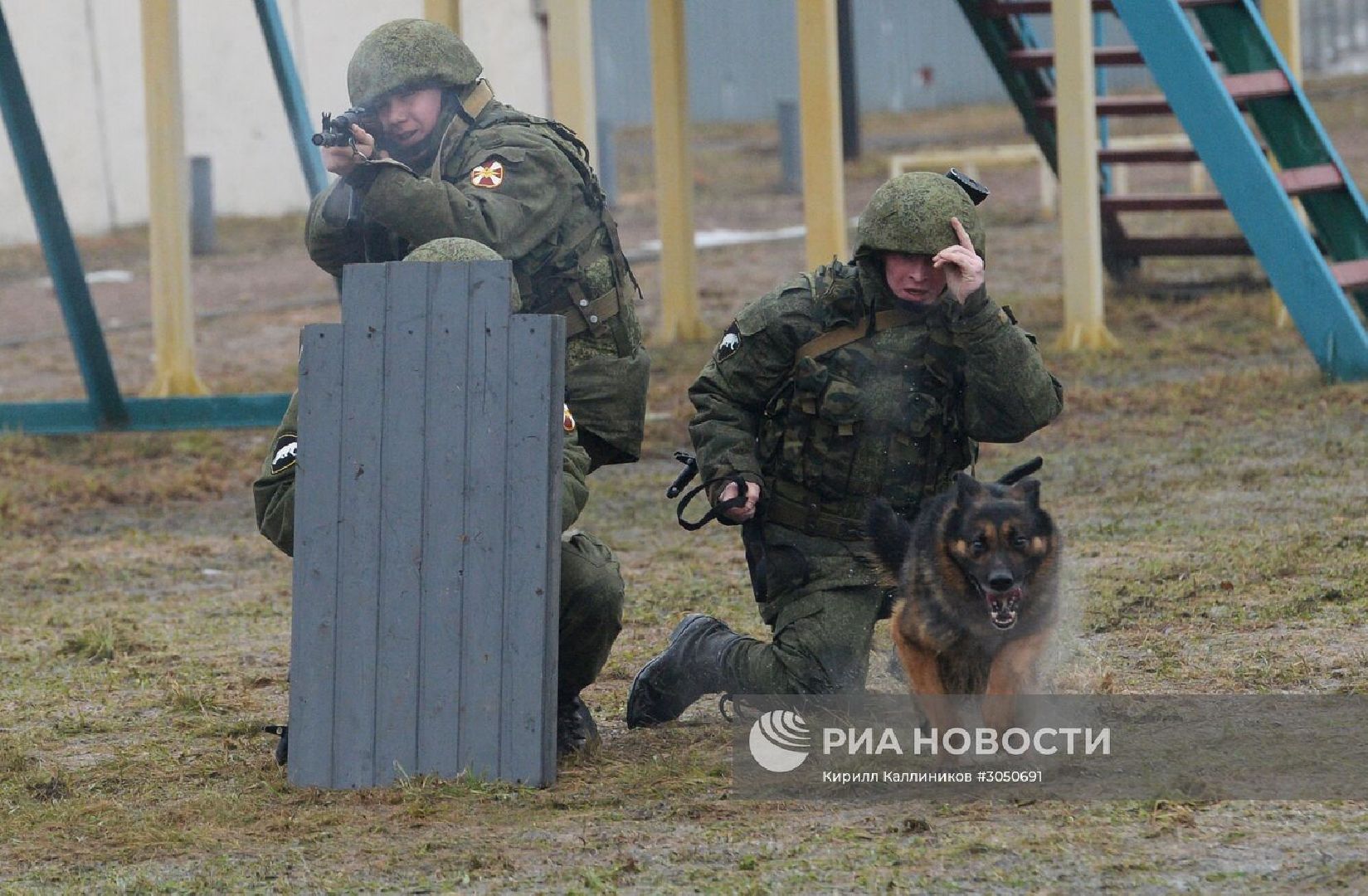 Долгопрудный, фестиваль, кинологи, фронтовая собака, Росгвардия