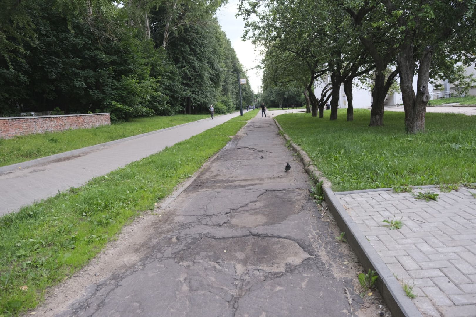 Пущино, благоустройство