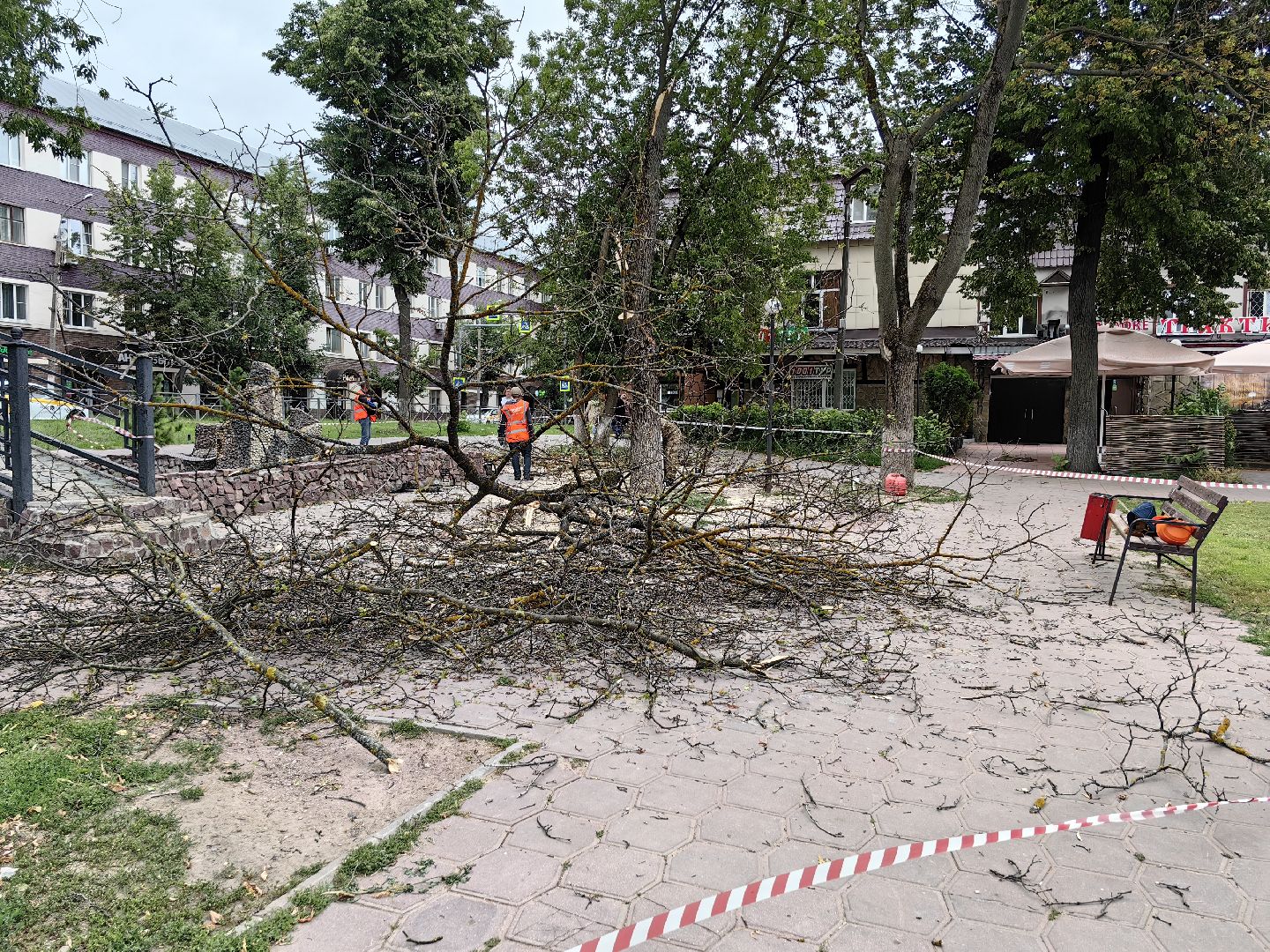 Спил, деревья, сухостои, безопасность