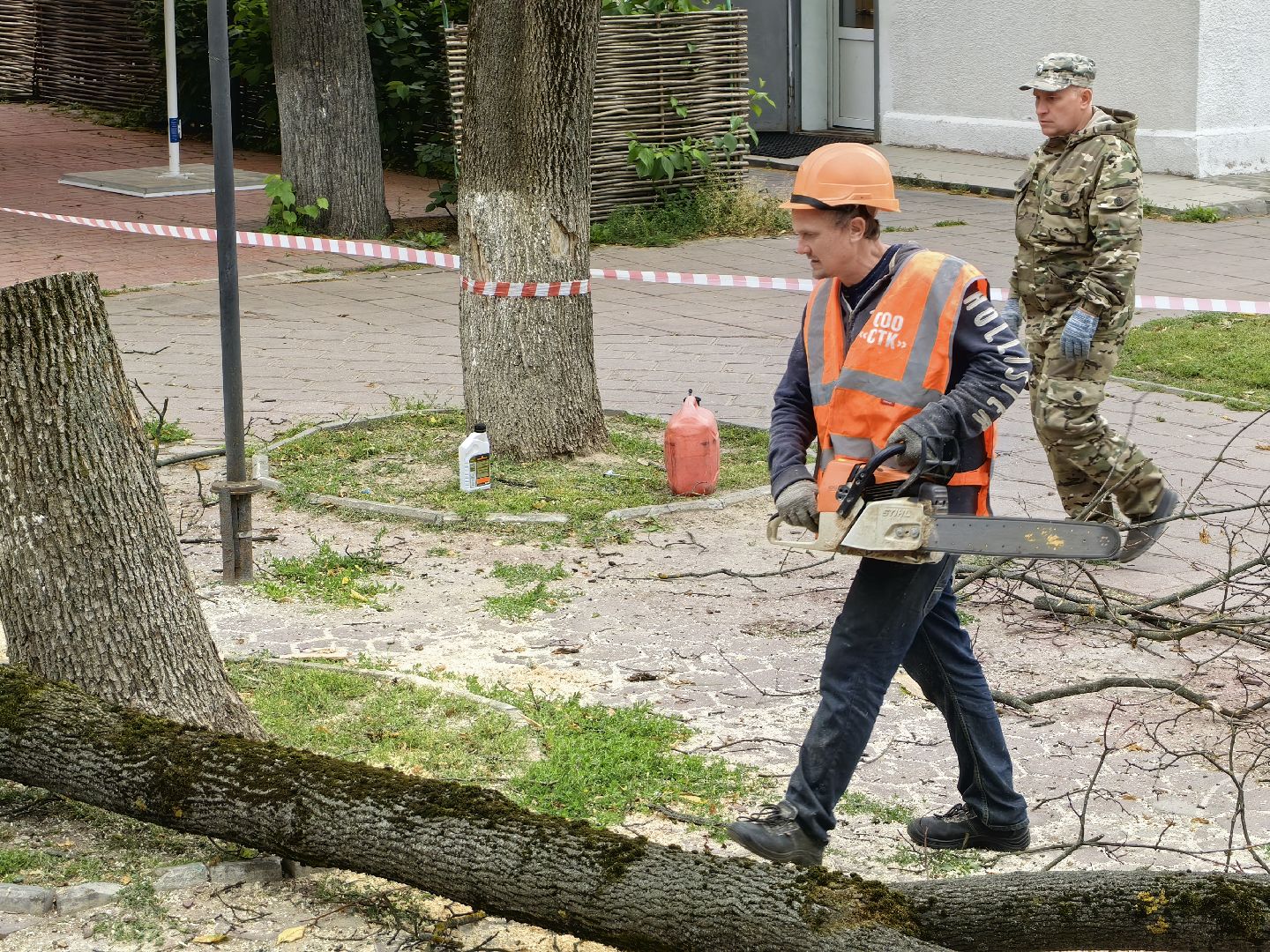 Спил, деревья, сухостои, безопасность