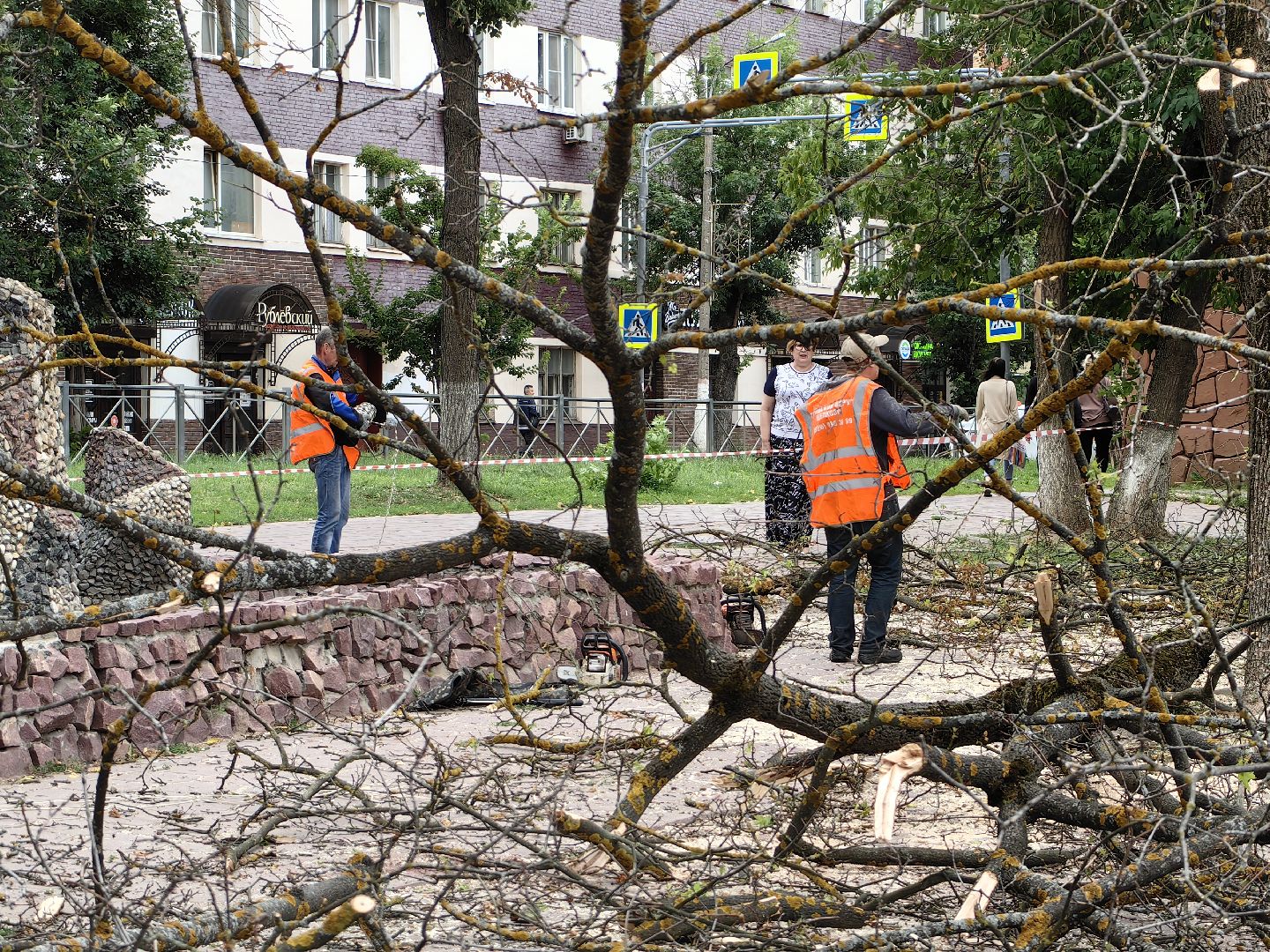 Спил, деревья, сухостои, безопасность