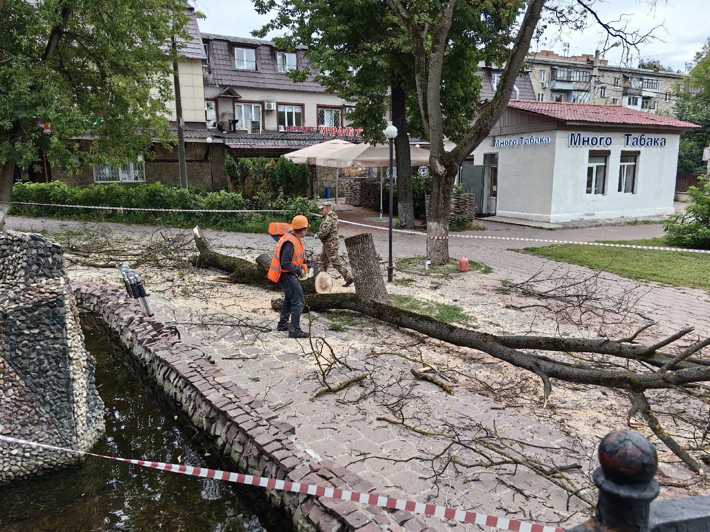 Спил, деревья, сухостои, безопасность