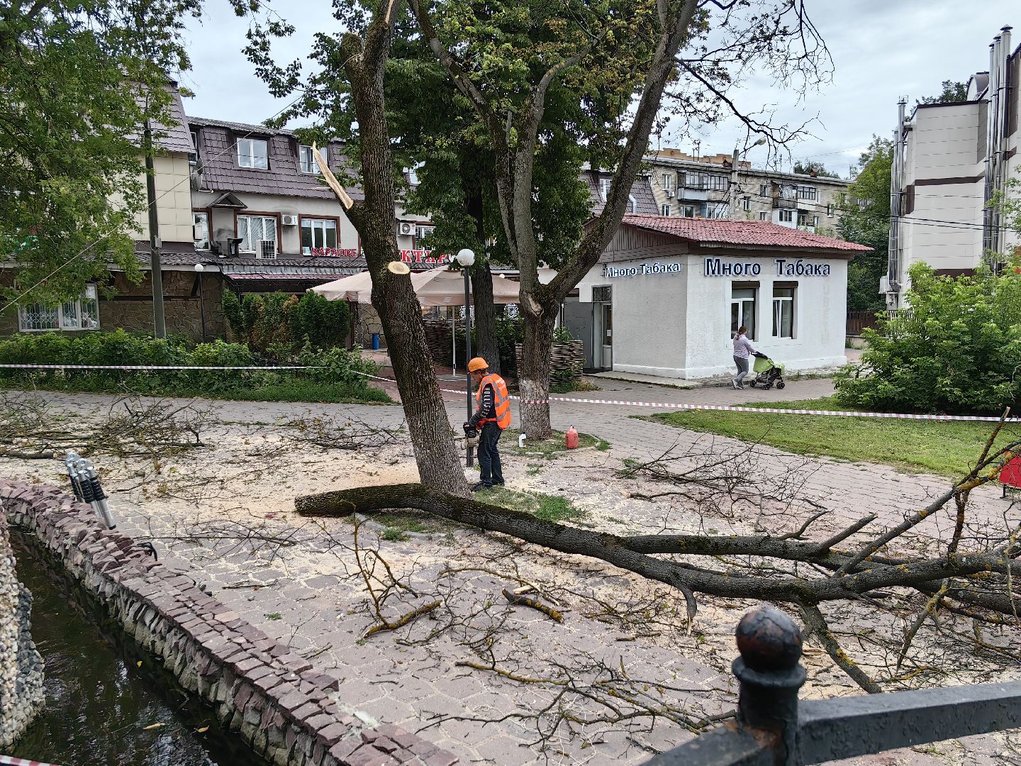 Спил, деревья, сухостои, безопасность