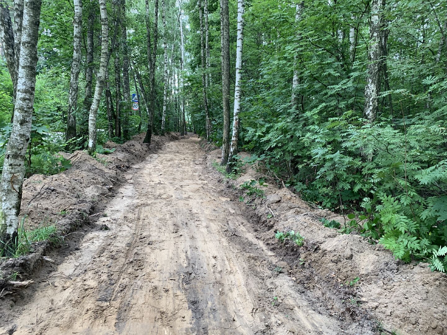 Балашиха, Подмосковье, благоустройство, скверы, берёзовая роща