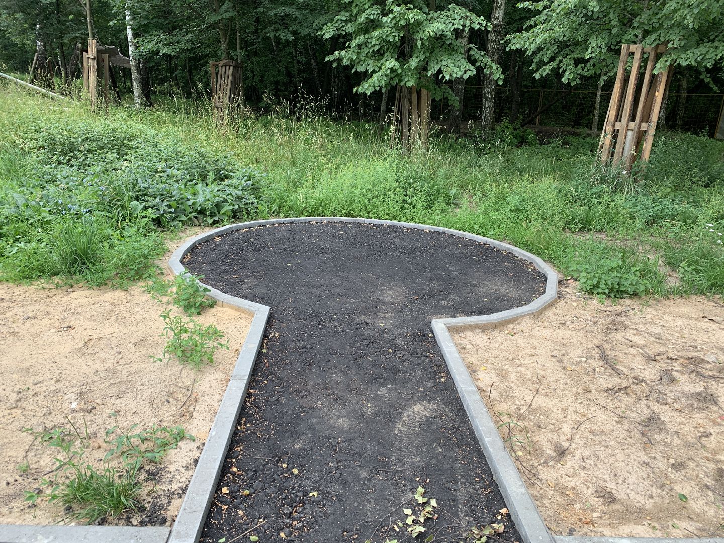 Балашиха, Подмосковье, благоустройство, скверы, берёзовая роща