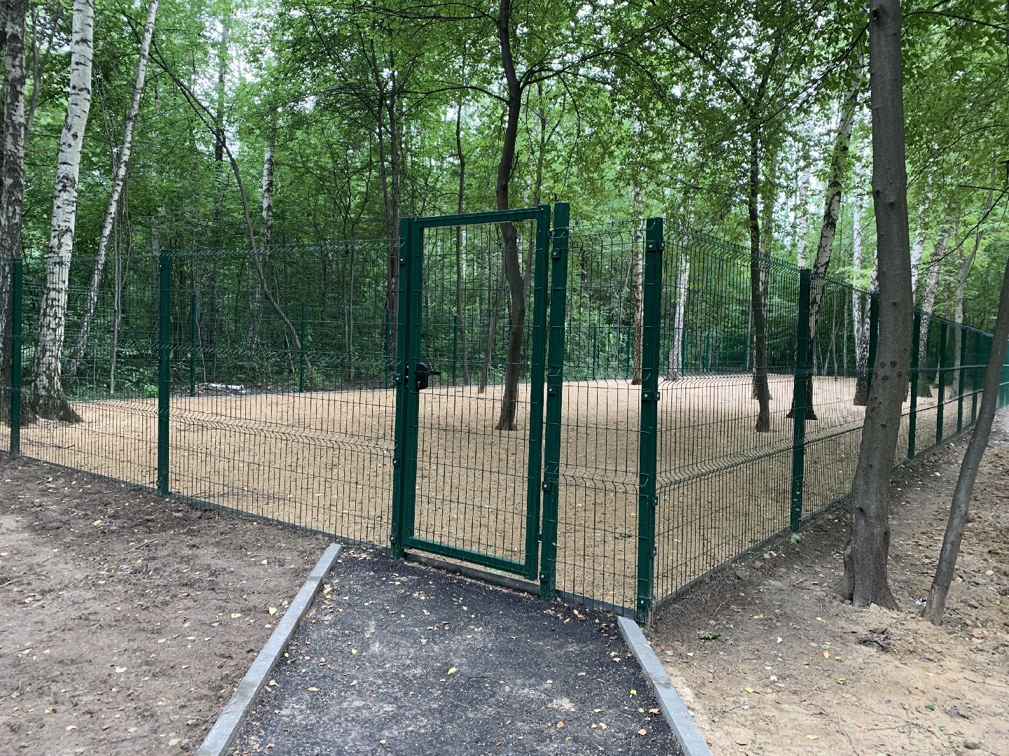 Балашиха, Подмосковье, благоустройство, скверы, берёзовая роща