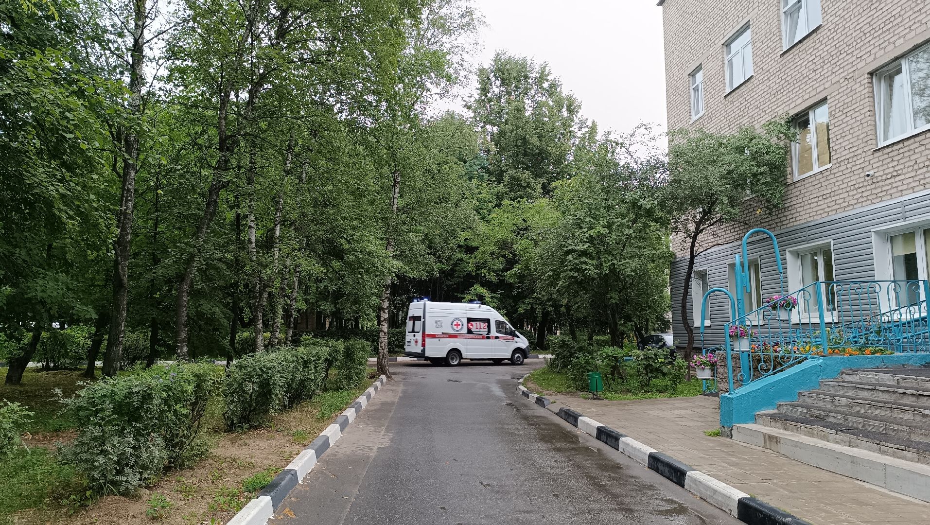 Лобня, медицина, змея