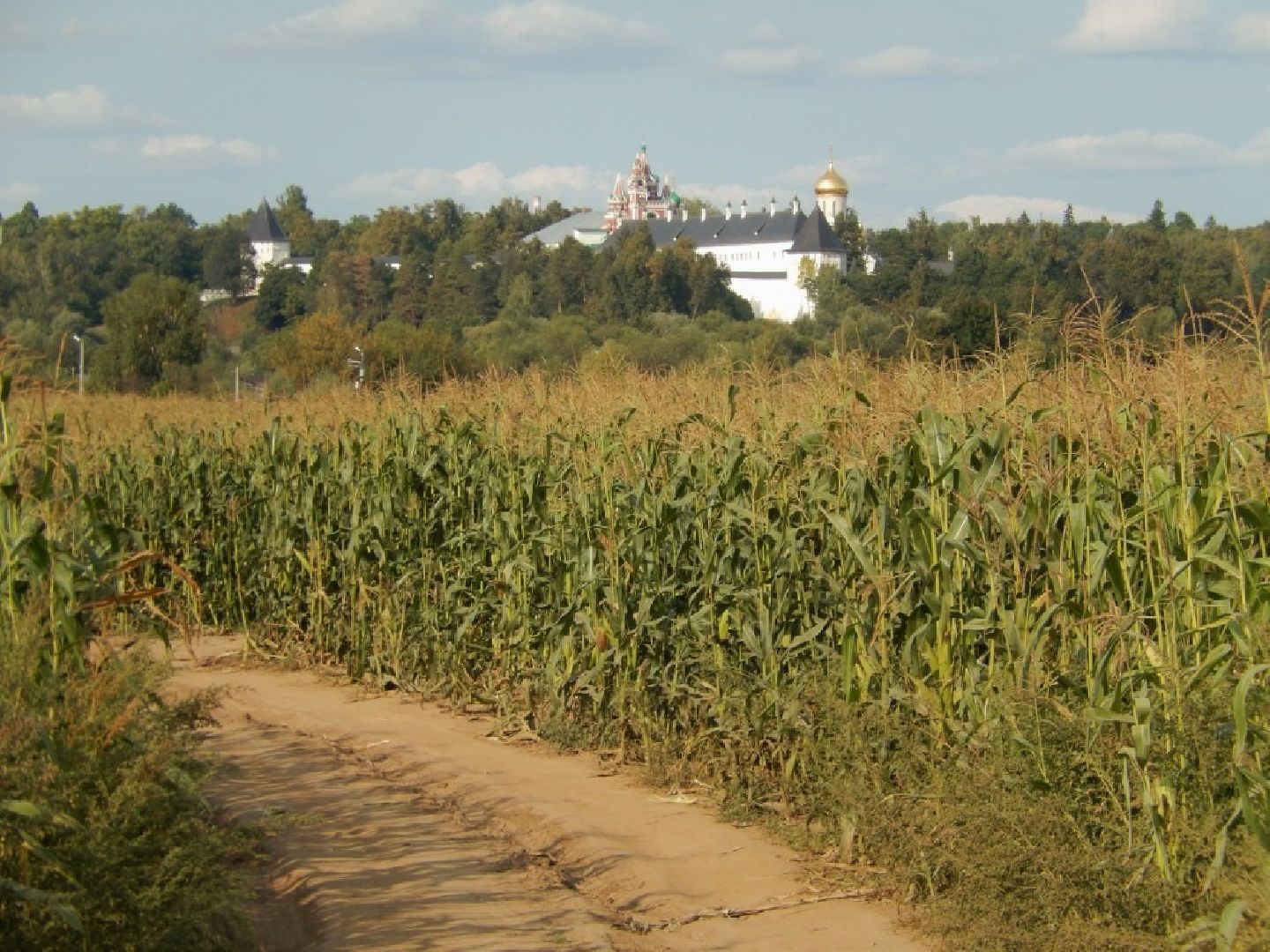 Звенигород, Шихово, ремонт дорог,