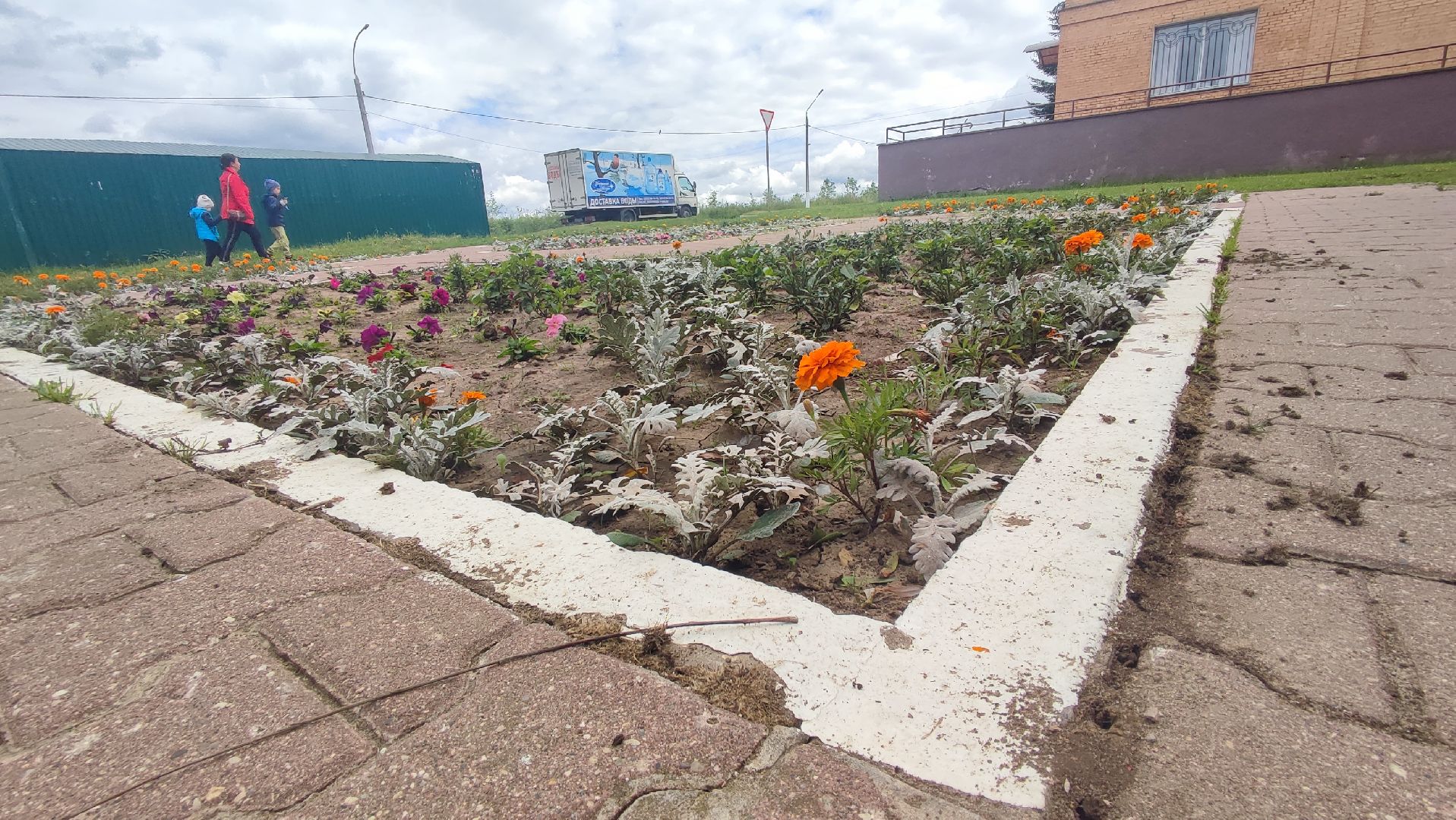Кашира, благоустройство, площадь, цветы, клумбы, бархатцы