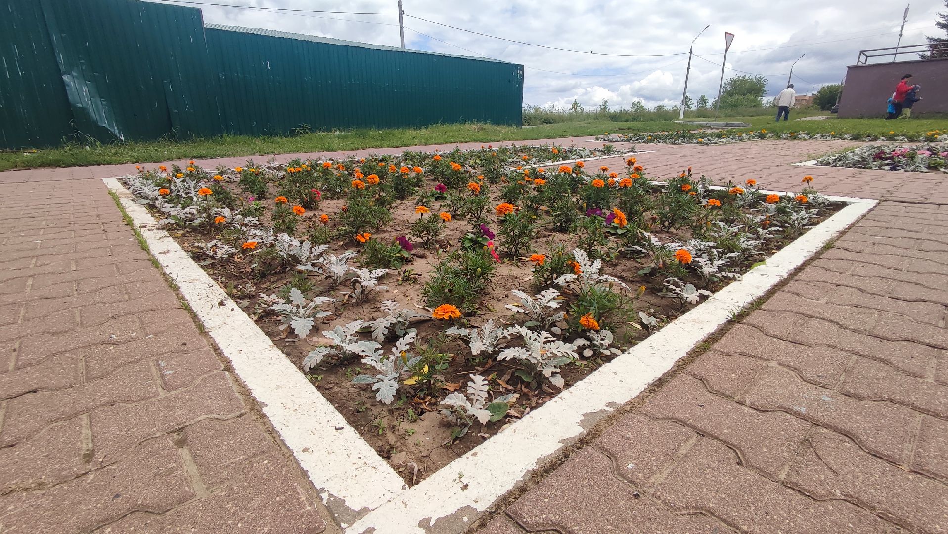 Кашира, благоустройство, площадь, цветы, клумбы, бархатцы