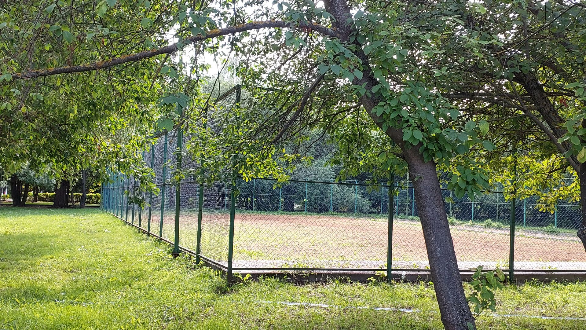 спорт, мини-футбол, серпухов, парк питомник, русский медведь, спортшкола,