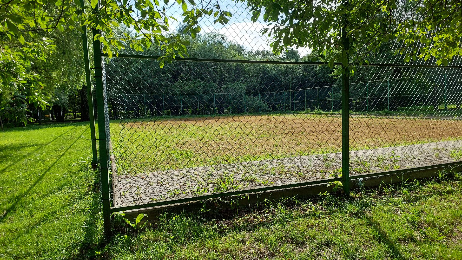 спорт, мини-футбол, серпухов, парк питомник, русский медведь, спортшкола,