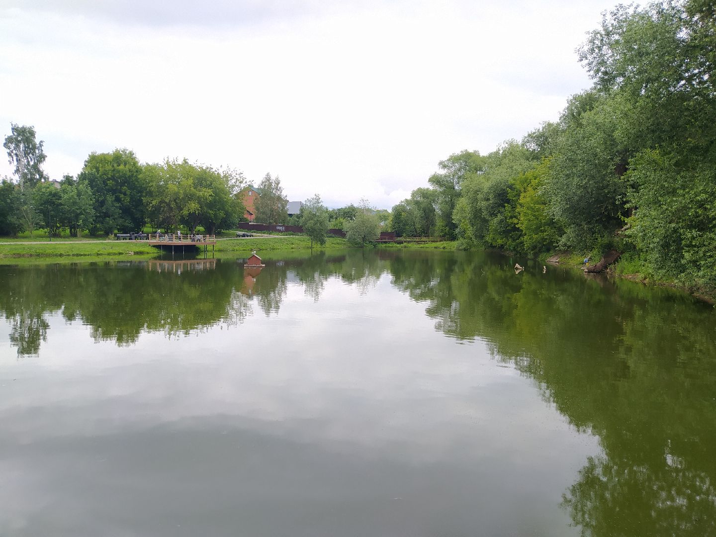 Дедовск, пруд, очистка, экология