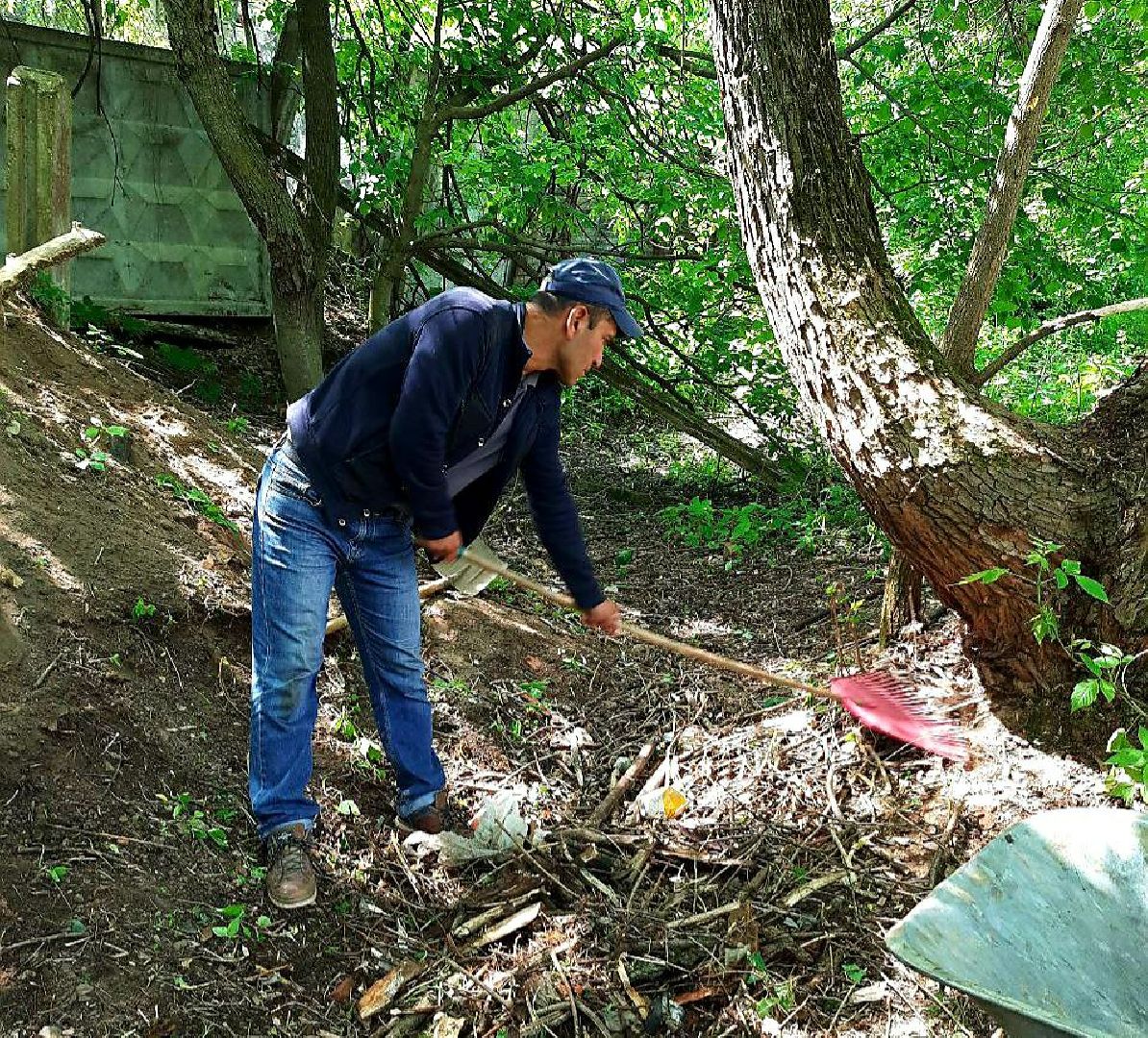 Дедовск, пруд, очистка, экология