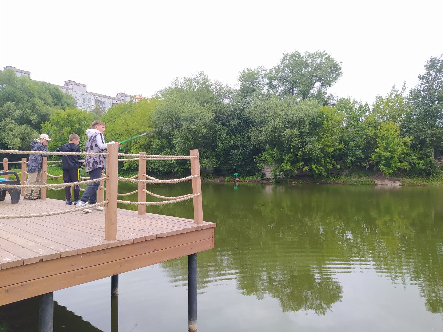 Дедовск, пруд, очистка, экология