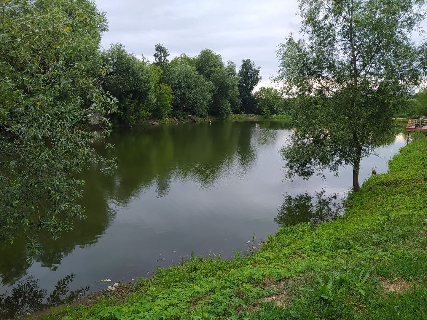 Дедовск, пруд, очистка, экология