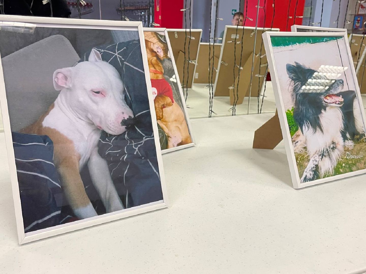 Коломна, культура, общество