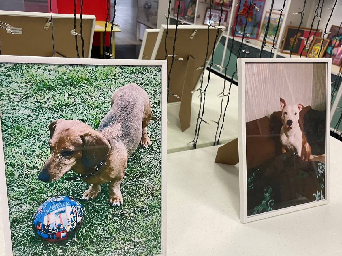 Коломна, культура, общество