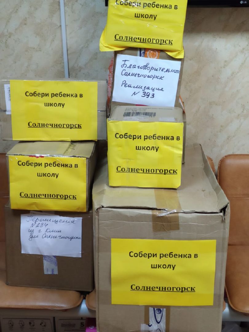 Солнечногорск, акция, дети, образование, школа