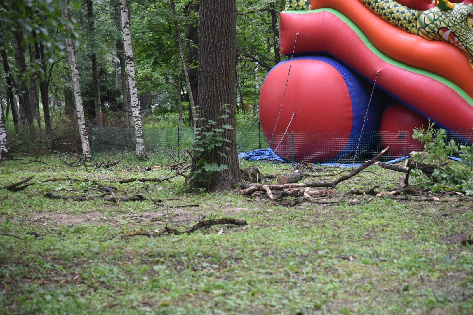 Химки, парк, деревья, опиловка, благоустройство