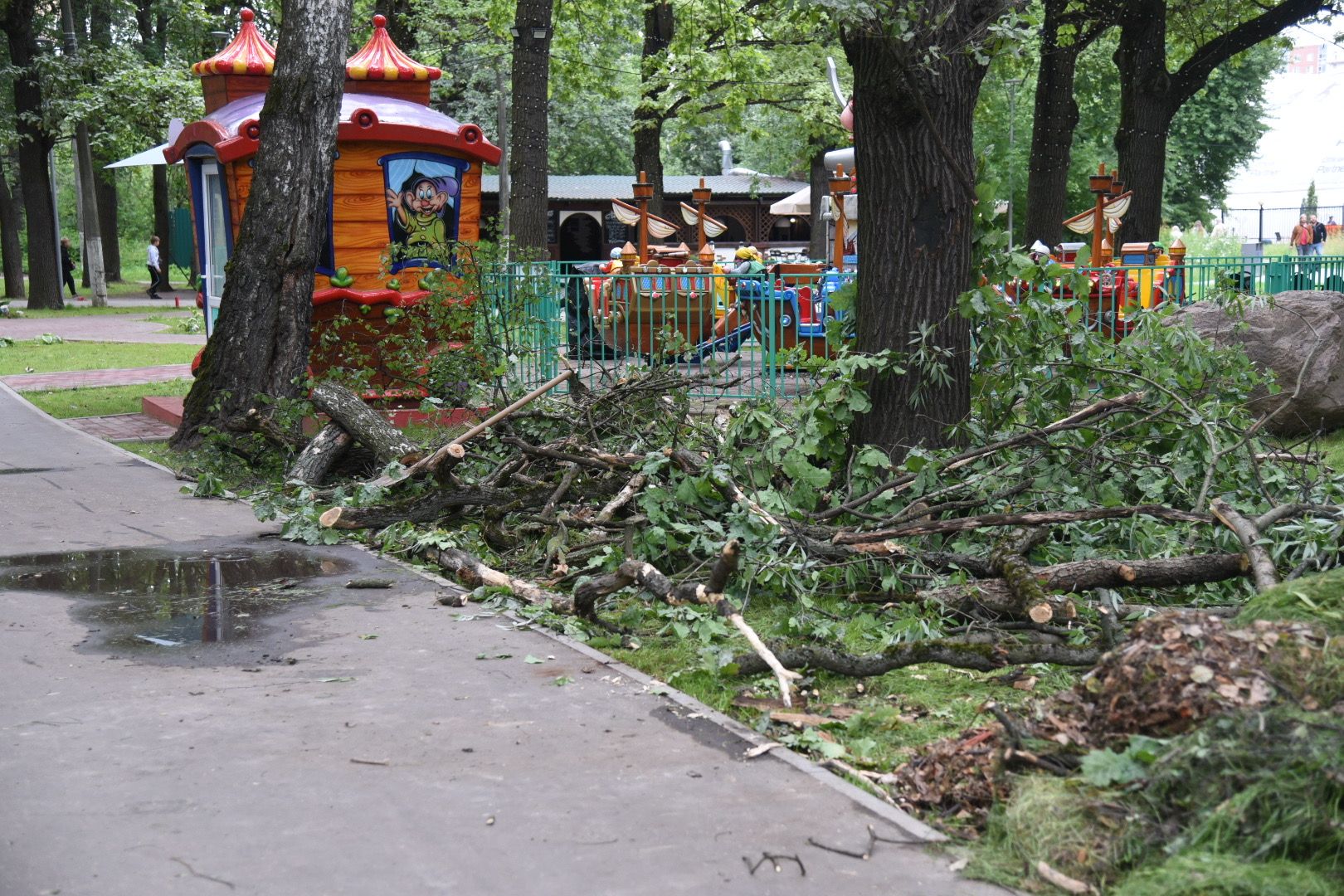 Химки, парк, деревья, опиловка, благоустройство