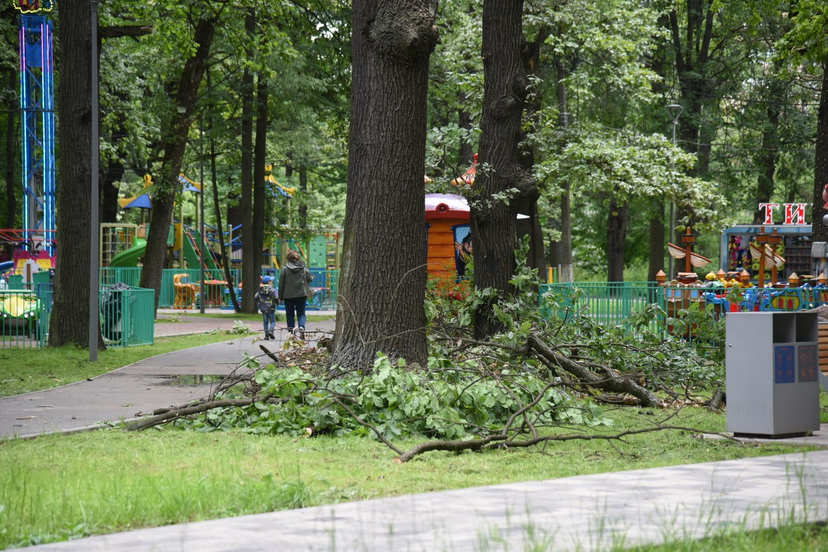 Химки, парк, деревья, опиловка, благоустройство