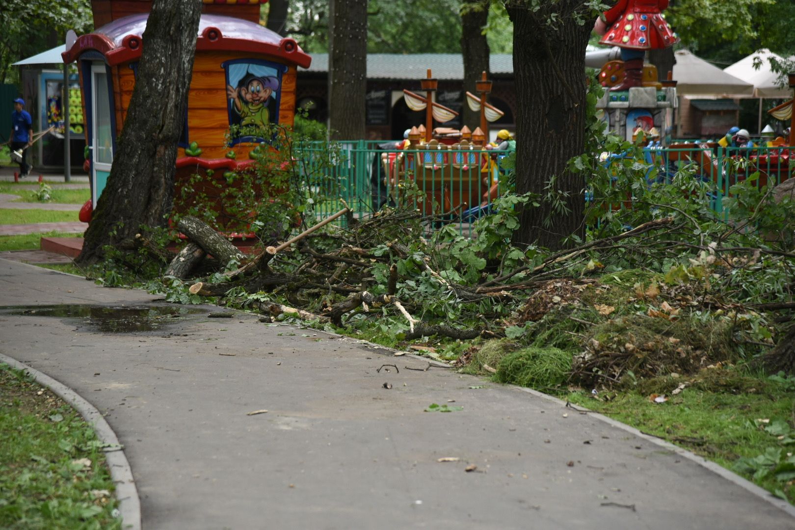Химки, парк, деревья, опиловка, благоустройство