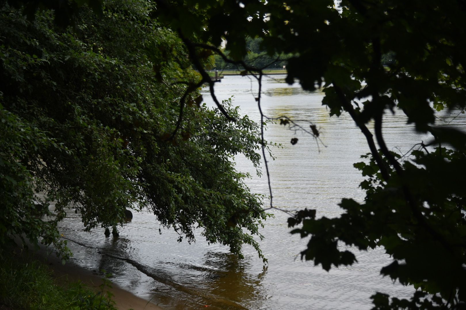 Химки, вода, плаванье, безопасность