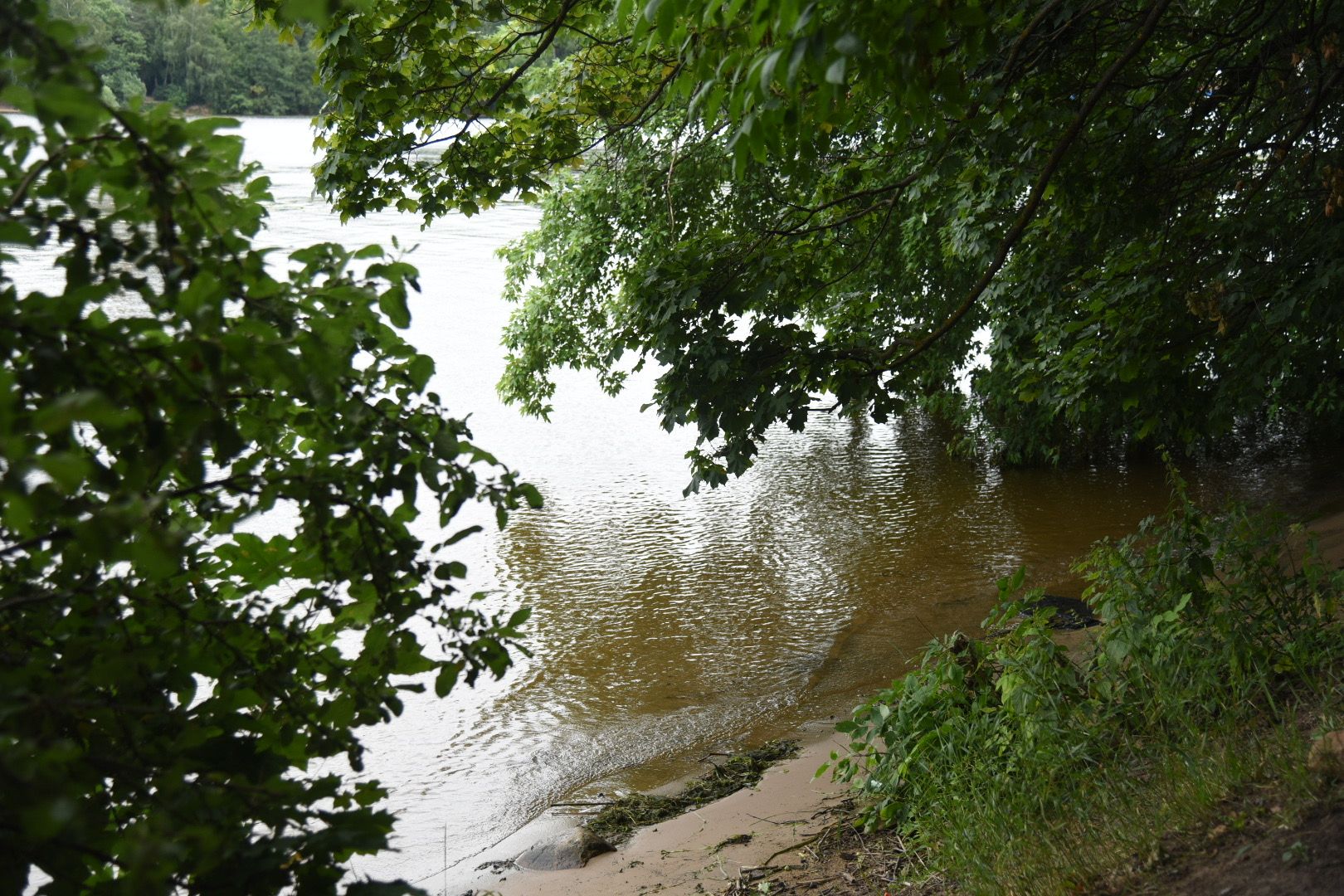 Химки, вода, плаванье, безопасность