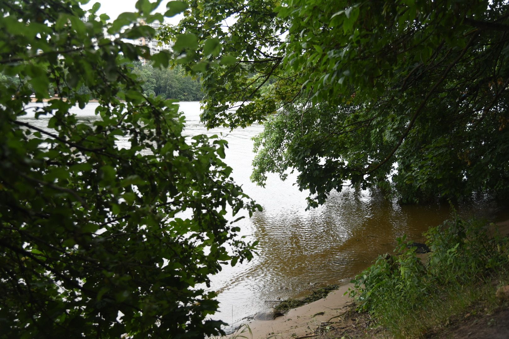 Химки, вода, плаванье, безопасность