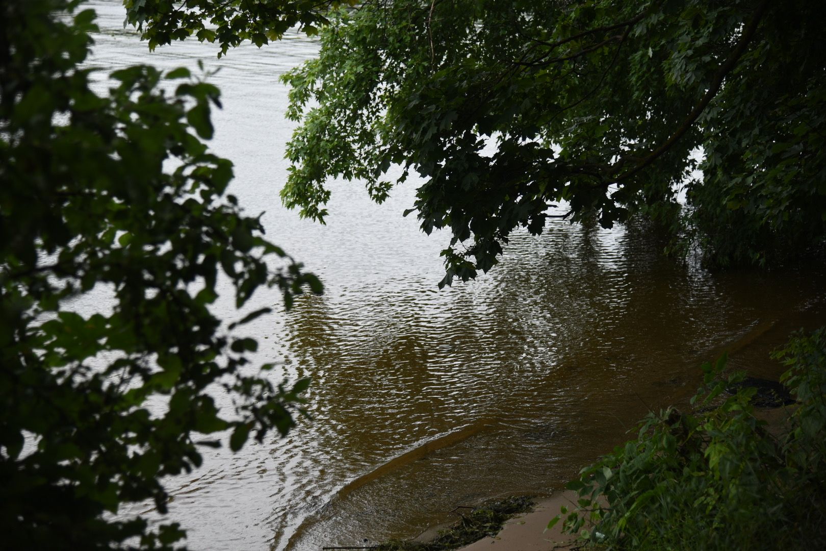 Химки, вода, плаванье, безопасность