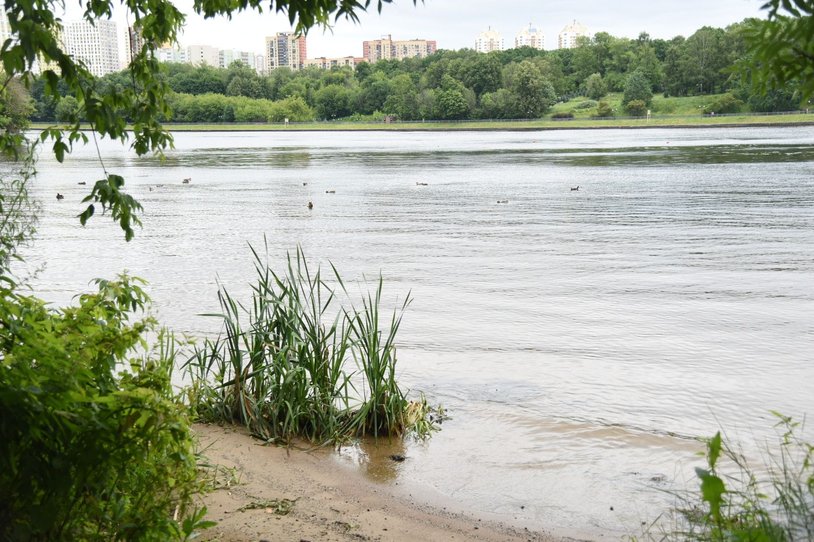 Химки, вода, плаванье, безопасность