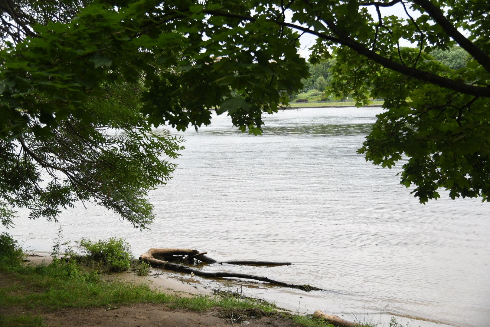 Химки, вода, плаванье, безопасность