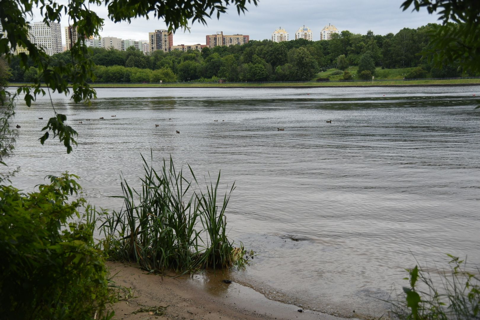 Химки, вода, плаванье, безопасность