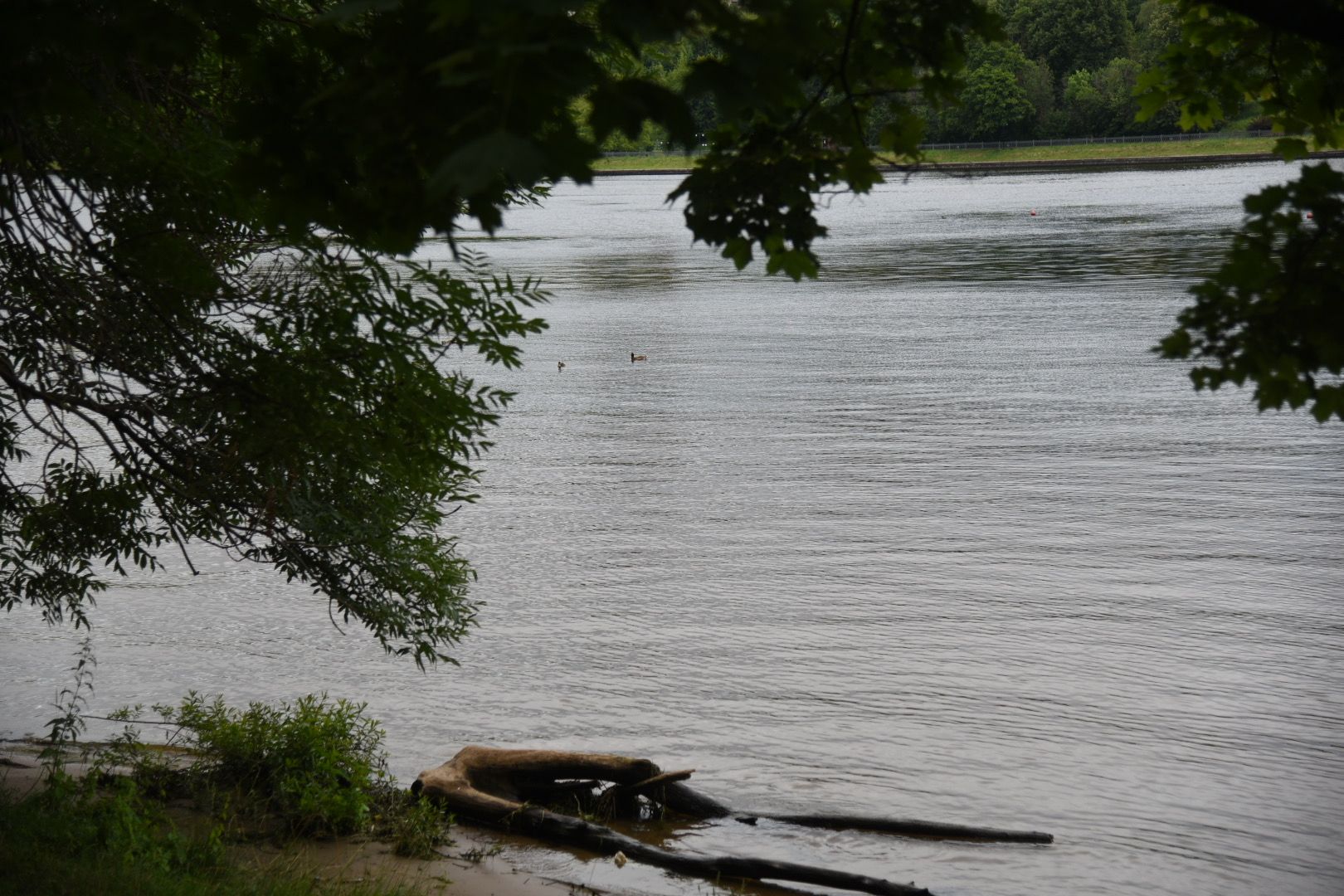 Химки, вода, плаванье, безопасность