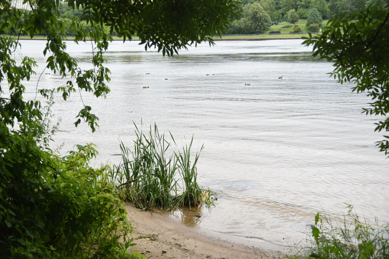 Химки, вода, плаванье, безопасность