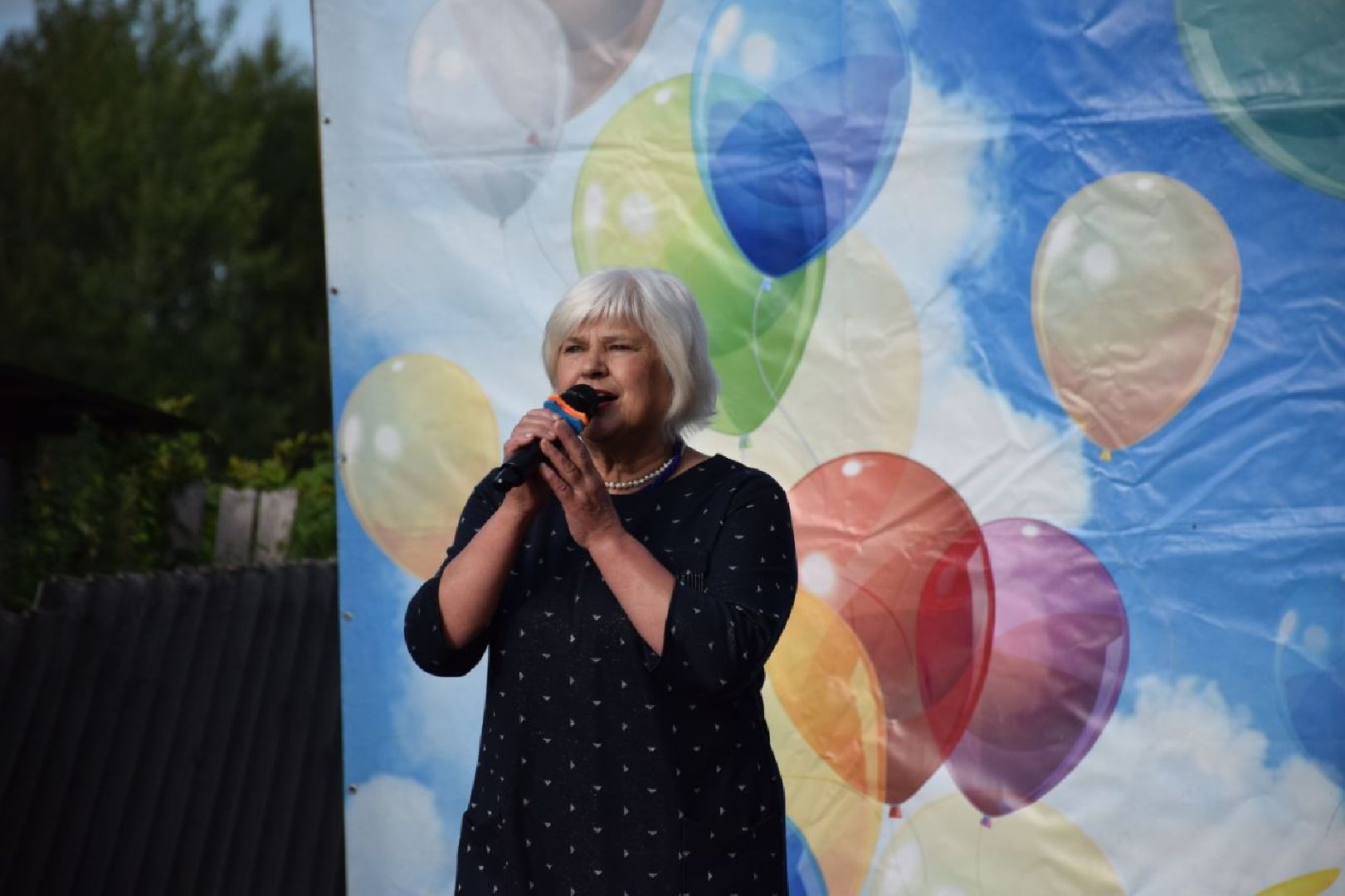 Павловский Посад, городской округ Павловский Посад, люди, праздник, деревня, Ковригино, глава города, выступление