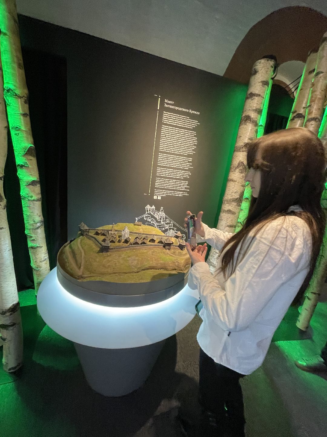 музей, манеж, культура, Звенигород, Птичий архив