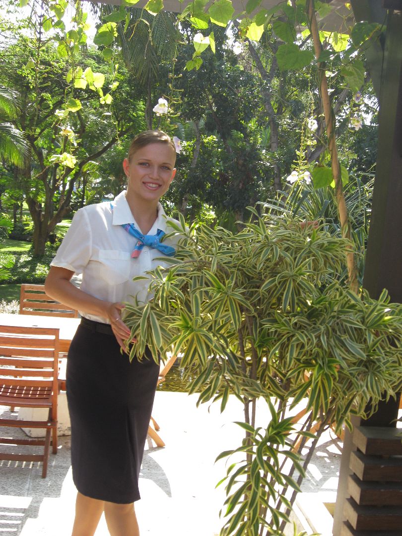 история, люди, стюардесса, бортпроводник