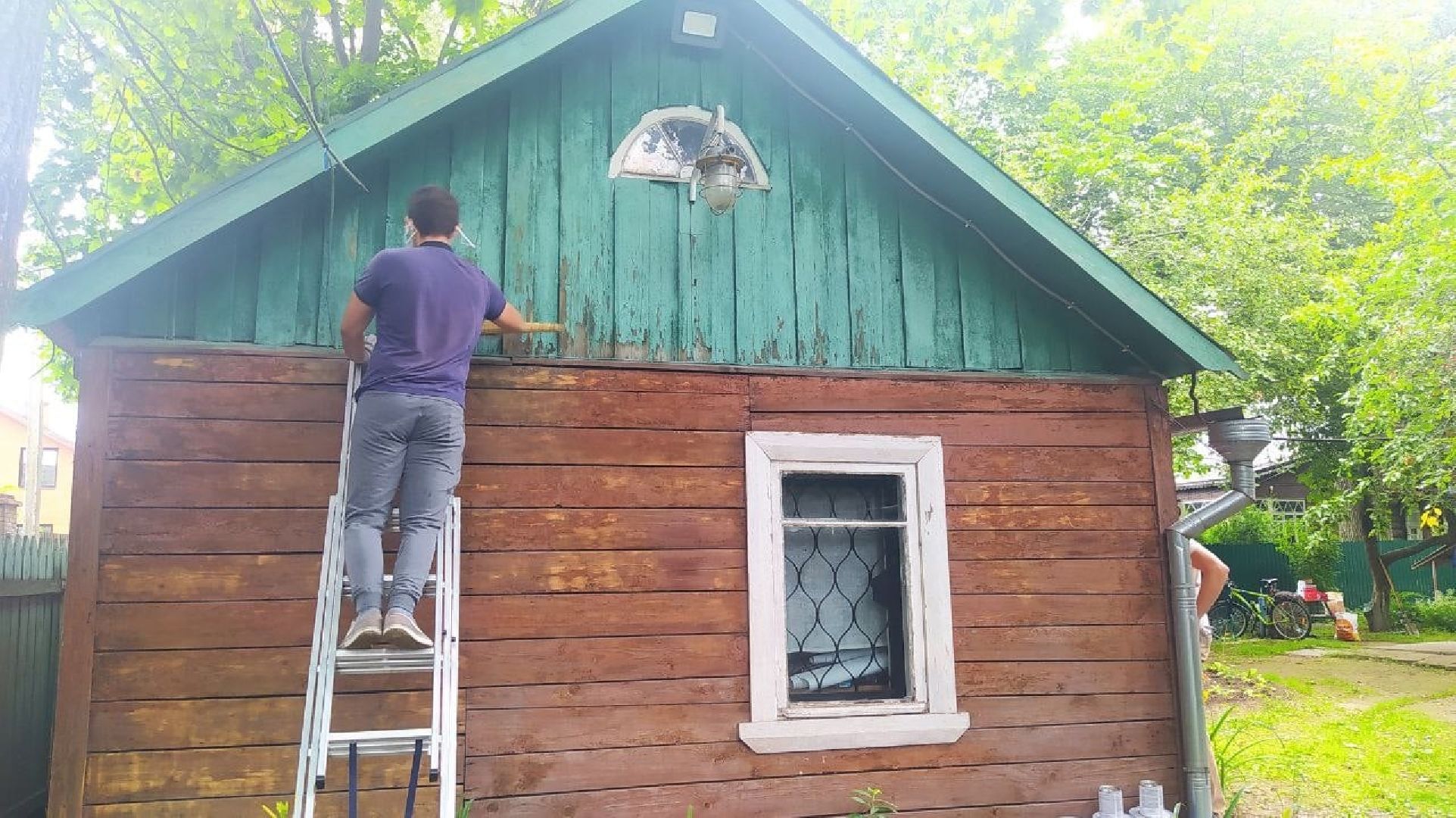 музей, культура, волонтёры,