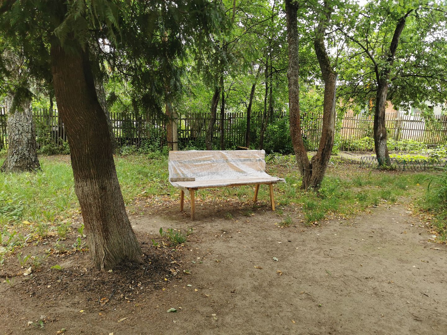 музей, культура, волонтёры,