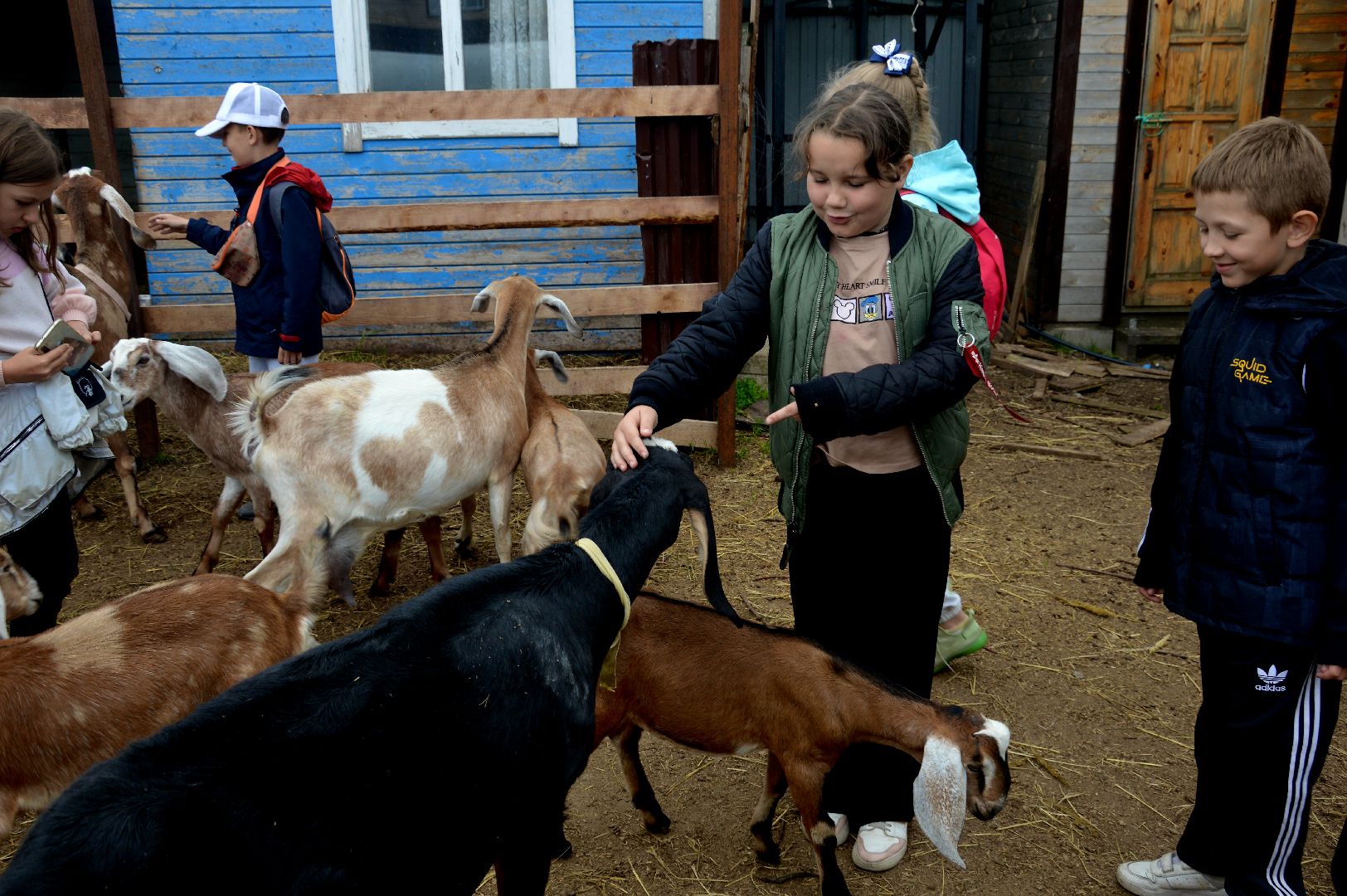 Шатура, профессия мечты, сыроварня, фермеры, подсобное хозяйство, Профессия мечты