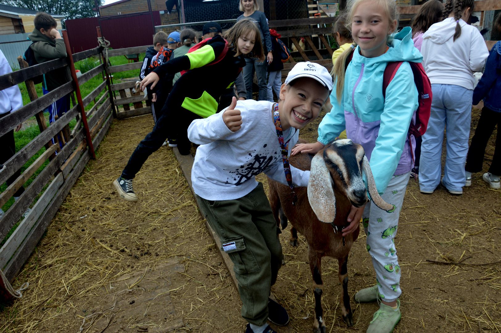 Шатура, профессия мечты, сыроварня, фермеры, подсобное хозяйство, Профессия мечты