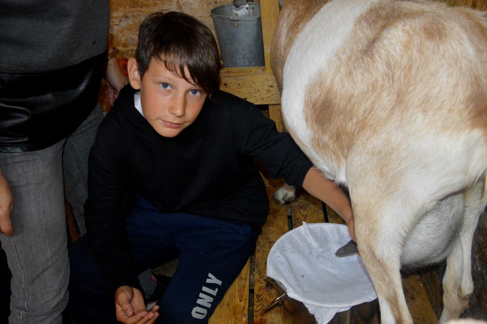 Шатура, профессия мечты, сыроварня, фермеры, подсобное хозяйство, Профессия мечты