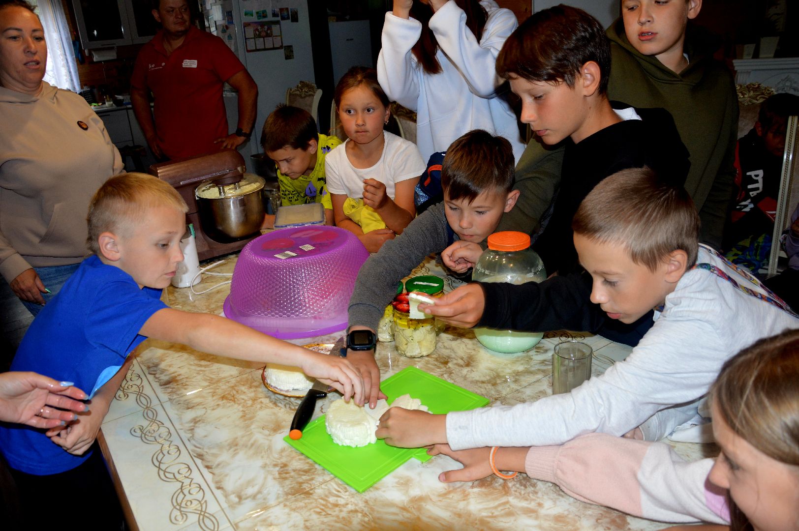 Шатура, профессия мечты, сыроварня, фермеры, подсобное хозяйство, Профессия мечты