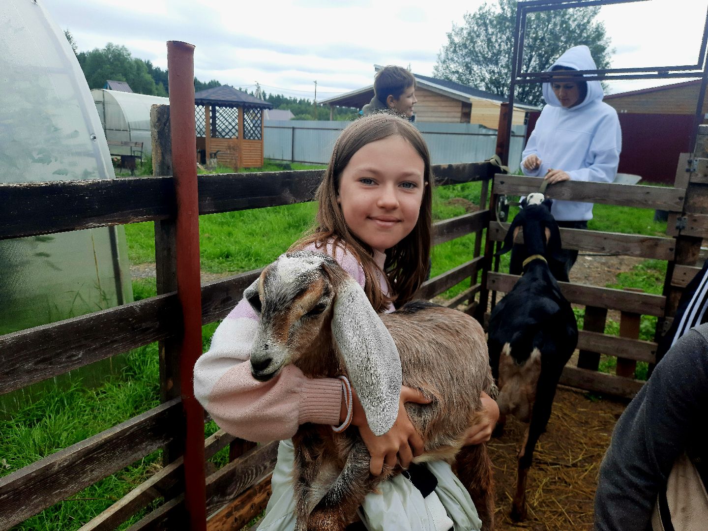 Шатура, профессия мечты, сыроварня, фермеры, подсобное хозяйство, Профессия мечты