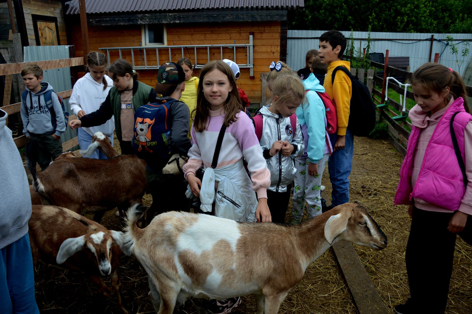 Шатура, профессия мечты, сыроварня, фермеры, подсобное хозяйство, Профессия мечты